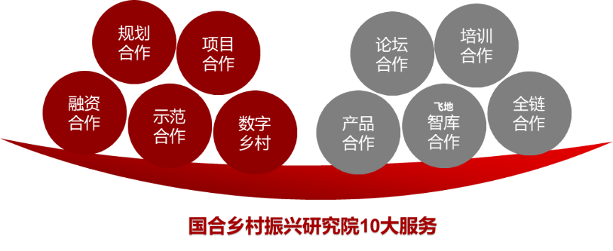 国合华夏城市规划研究院启动“123”乡村振兴工程，打造乡村振兴国家队(图2)